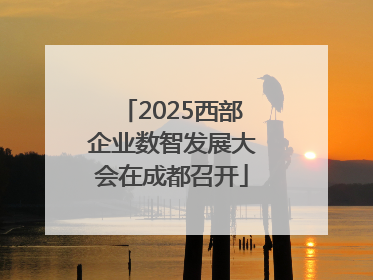 2025西部企业数智发展大会在成都召开
